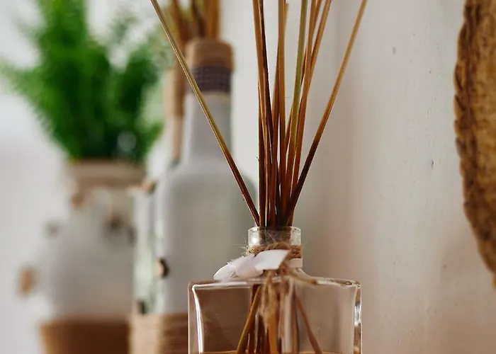 Biodelfico, Policoro, Matera, Montalbano, Mare *